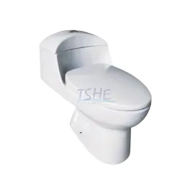 HE-T801 Siphon One Piece Toilet