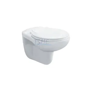 XFH-301 Wall Hung Toilet