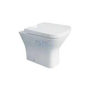 HE-0006K BTW Toilet