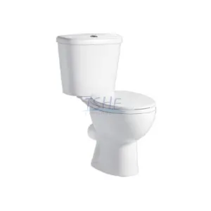 HE-221 Washdown Two Piece Toilet