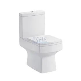 HE-212 Washdown Two Piece Toilet