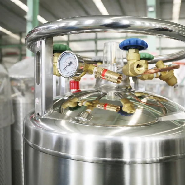 Liquid CO2 Cylinder Cryogenic Dewar Tank RFCC