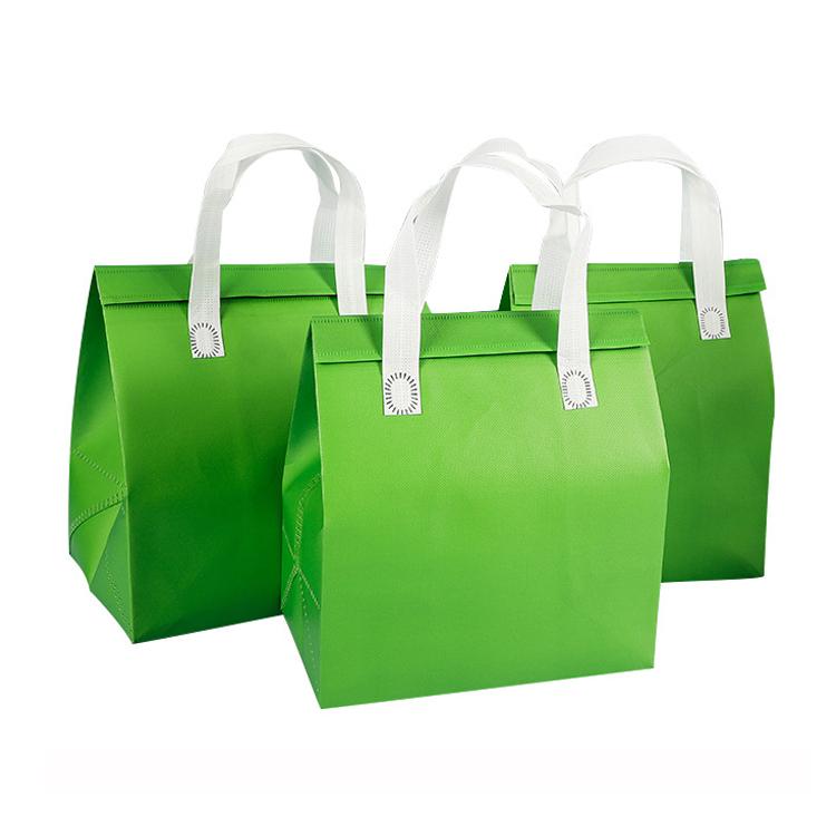 non woven portable cooler bag