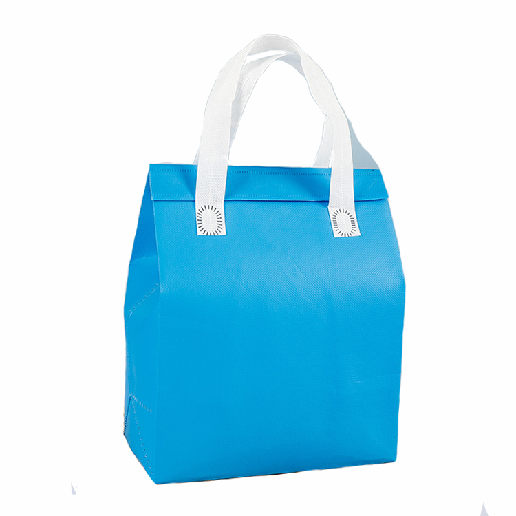 non woven portable cooler bag