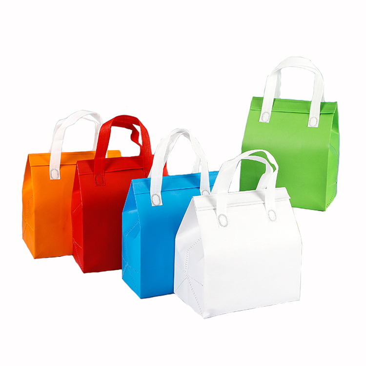 non woven portable cooler bag