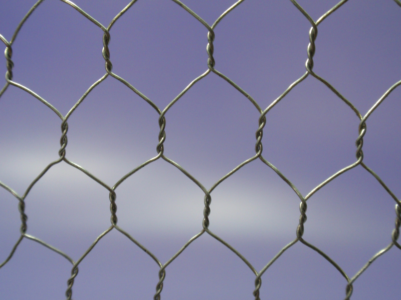 Stainless steel Hex. Netting