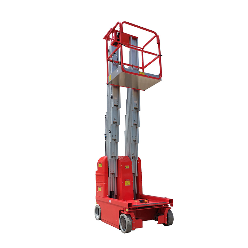 Full Self-propelled Mast Type Aerial Working Platform (Double Mast)