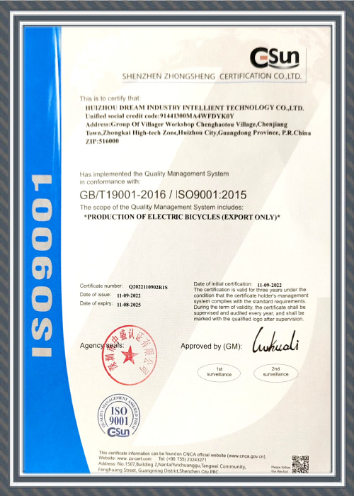 Snow Electric Bike, Road Electric Bike Manufacturer China