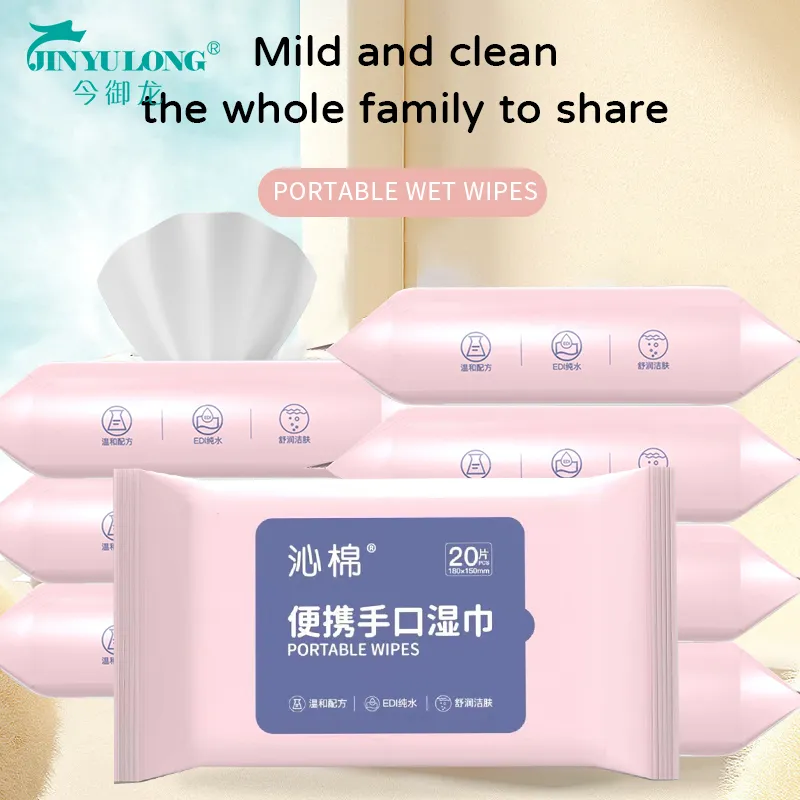 Easy to carry hand and mouth wipes