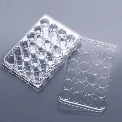 Multi-wells Cell Culture Plate