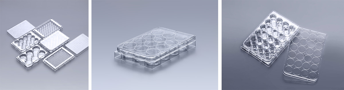 Multi-wells Cell Culture Plate
