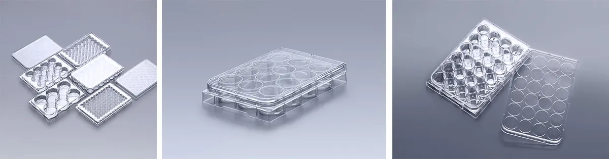  Plaque de culture cellulaire multi-puits