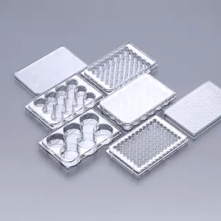 Multi-wells Cell Culture Plate