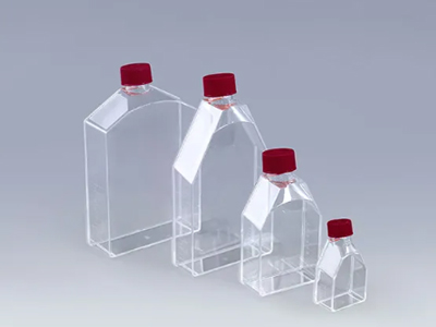 Cell Culture Flask