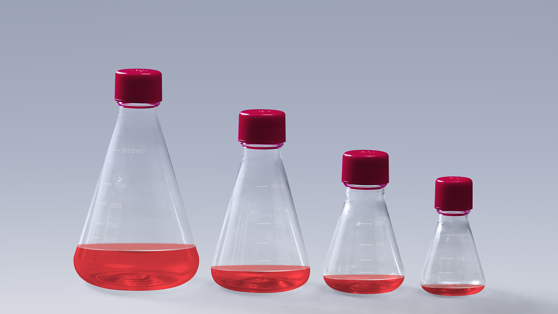Erlenmeyer Shake Flask: The Big Impact of Small Details in Cell Culture