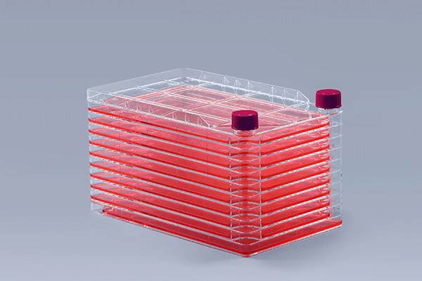 Requirements for Raw Material Quality in Cell Factory