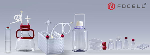 From Laboratory to Industrial Scale: Key Stages in Cell Culture Scale-Up