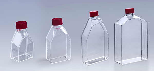 A Complete Guide to Cell Types Suitable for Culture in Cell Culture Flask