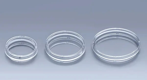 Cell Culture Vessels: A Comprehensive Guide to Common Cell Culture ...