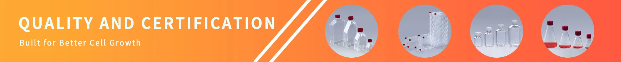 Multilayer Cell Factory | Cell Factory System Manufacturer | FDCELL