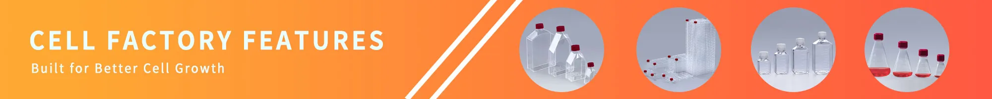 Multilayer Cell Factory | Cell Factory System Manufacturer | FDCELL