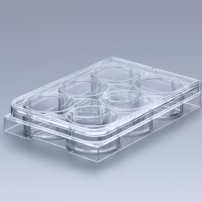 Ultra-Low Attachment Multiple Well Plates