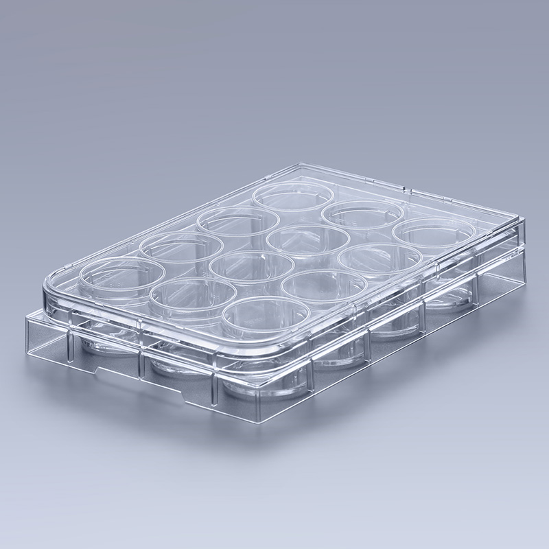 Multi-wells Cell Culture Plate