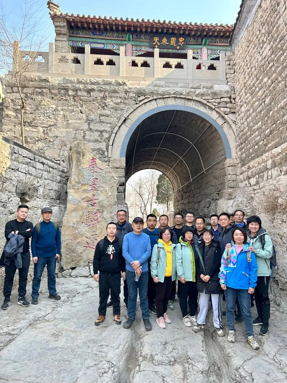 Procaine Penicillin and Dihydrostreptomycin Sulphate Suspension