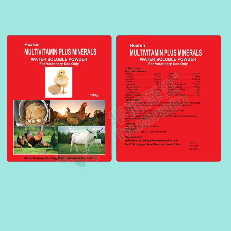 Multivitamin and Minerals water soluble Powder