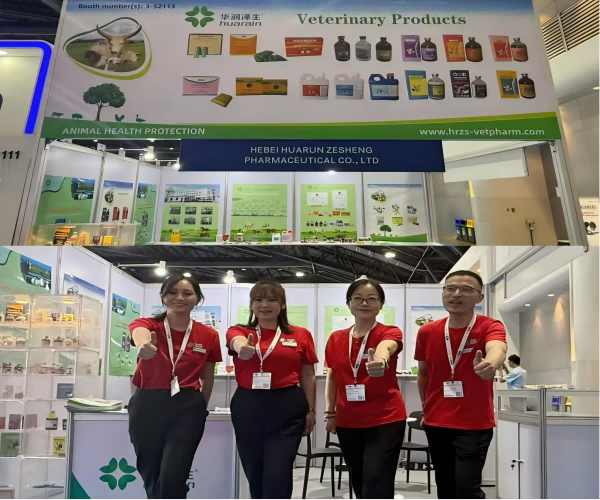 Hebei Huarun Zesheng Pharmaceutical Co., Ltd. Successfully Participated In The 2025 VIV Asia Thailand Livestock Exhibition