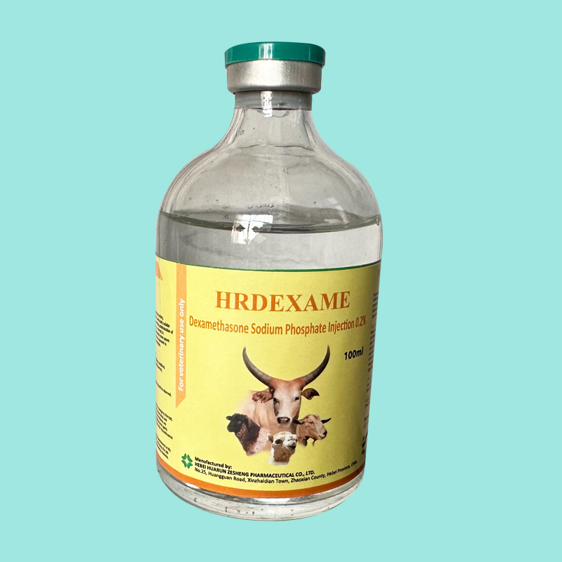 Dexamethasone Sodium Phosphate Injection 0.2%