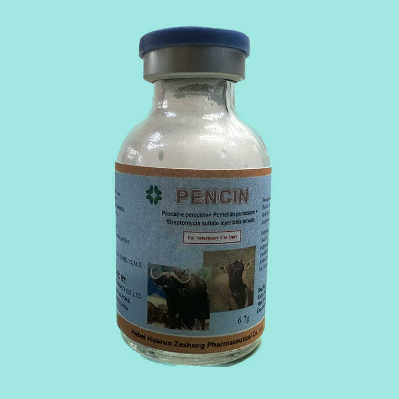 Penicillin, Procaine Penicillin and streptomycin Sulphate