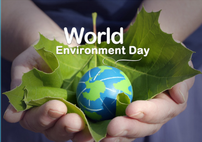 World Environment Day with Sustainable Packaging Solutions