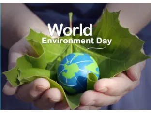 World Environment Day with Sustainable Packaging Solutions