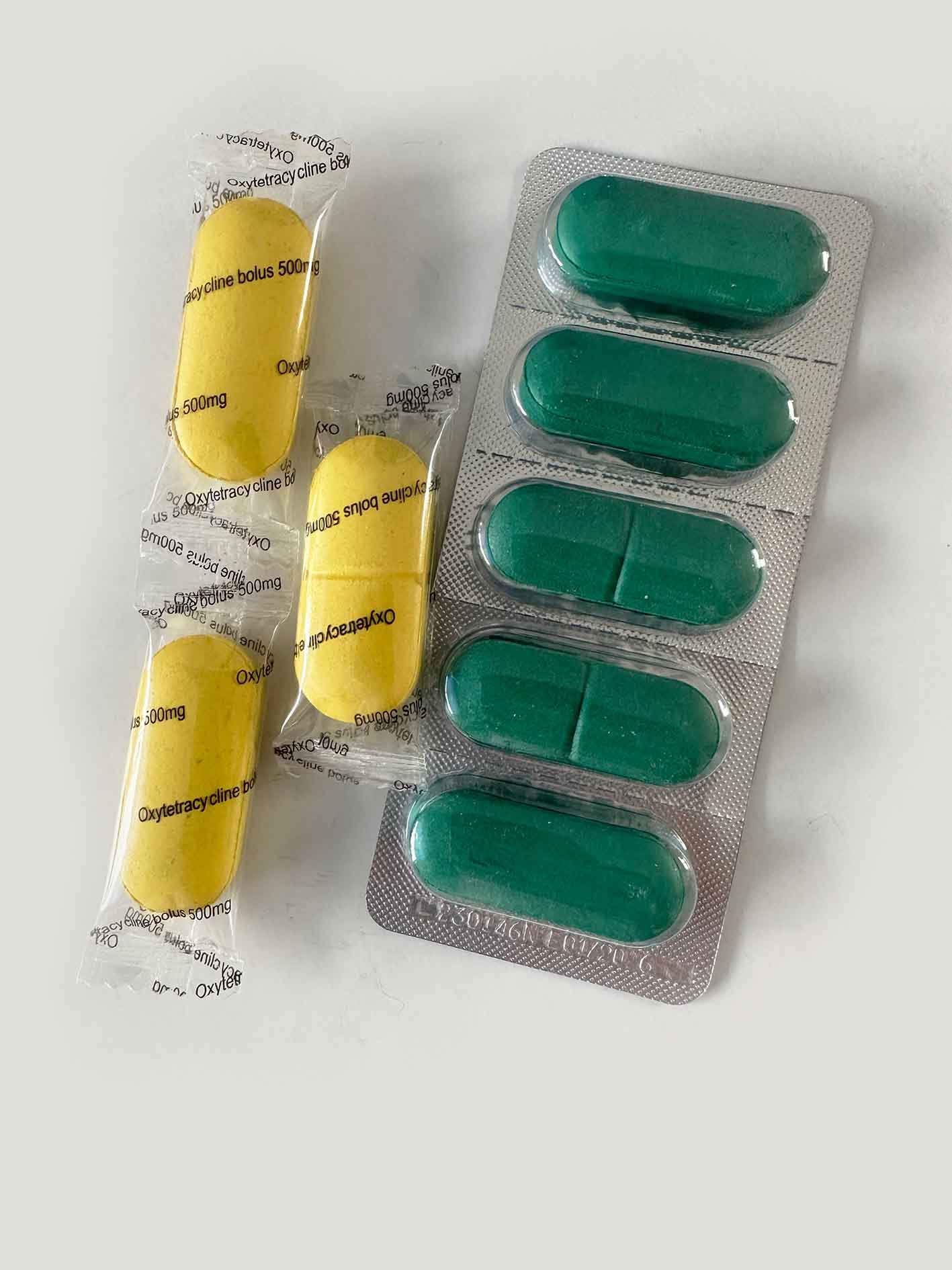 Levamisole 1000mg bolus