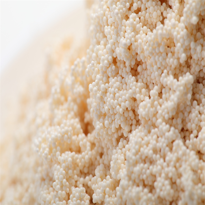 Macroporous Adsorption Resin AB-8