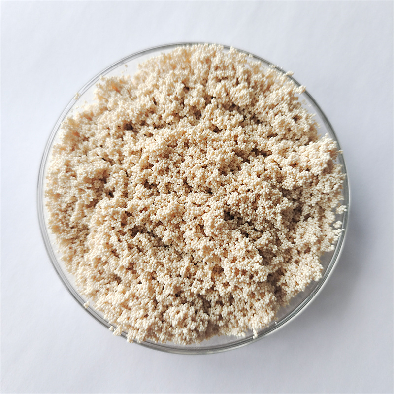 Macroporous Type II Strong Base Anion Resin