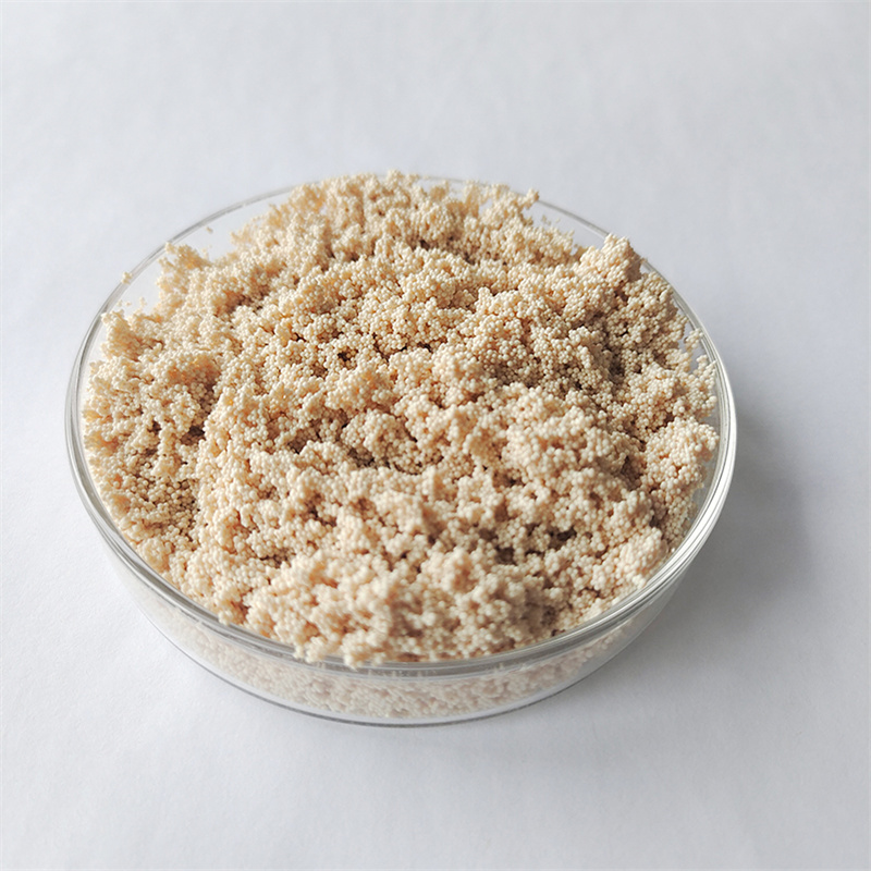 Macroporous Type II Strong Base Anion Resin