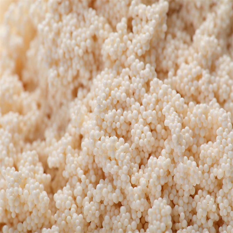 Macroporous Adsorption Resin AB-8