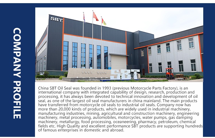 Chine manufacture SBT haute qualité en gros TC NBR joint d'huile TC FKM  joint d