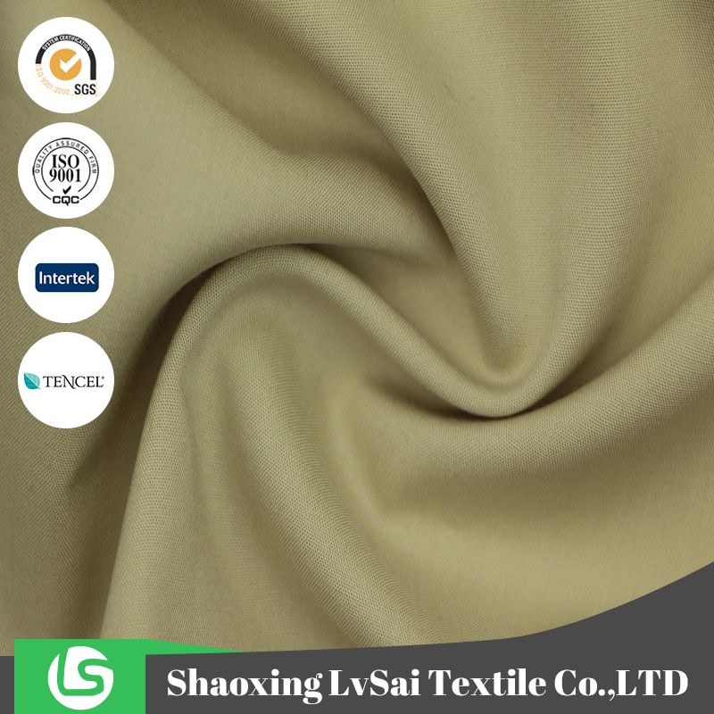 Tencel Rayon 40S EcoFriendly Plain Fabric
