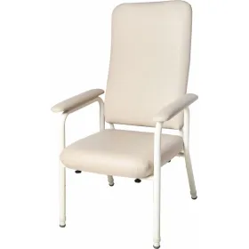 Steel Hilite chair C4122