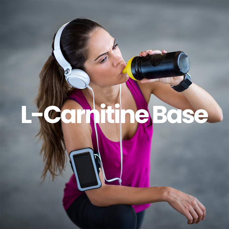 boiga melanota Acetyl-L Carnitine (ALC) Market Size, Growth Trends & Forecast [2034]
