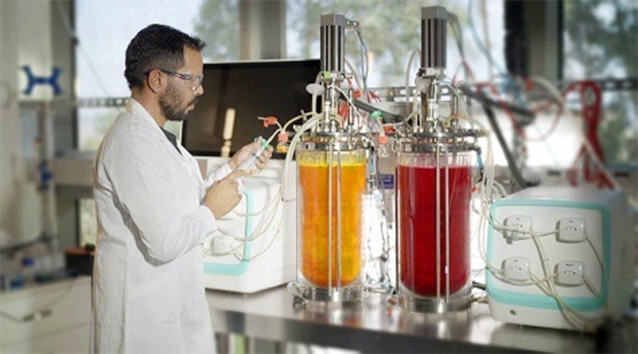 The Impact and Opportunities for the Industry from the FDA Ban on Synthetic Colors and Additives