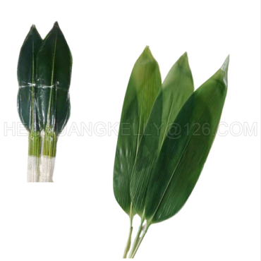 Bamboo Leaves with Neck for Sushi and Sashimi