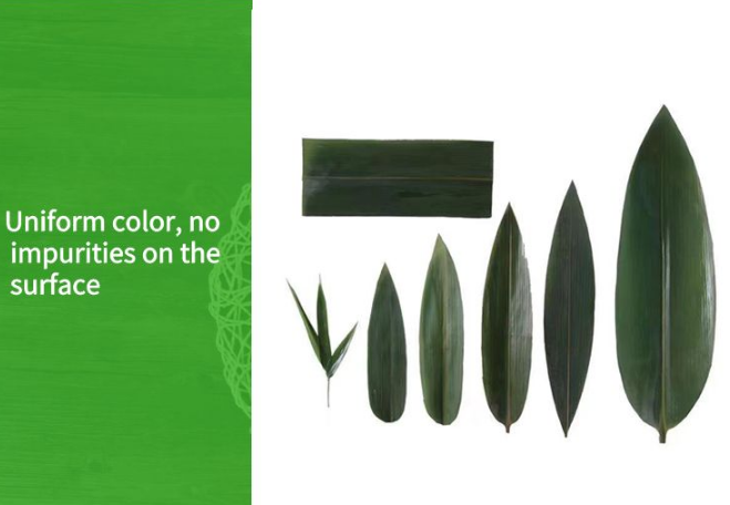 Top 10 Bamboo Leaves Suppliers in China