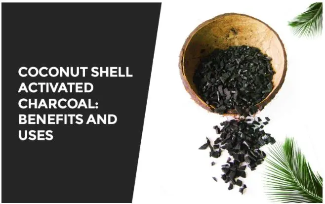 Coconut Shell Activated Carbon: Benefits and Uses