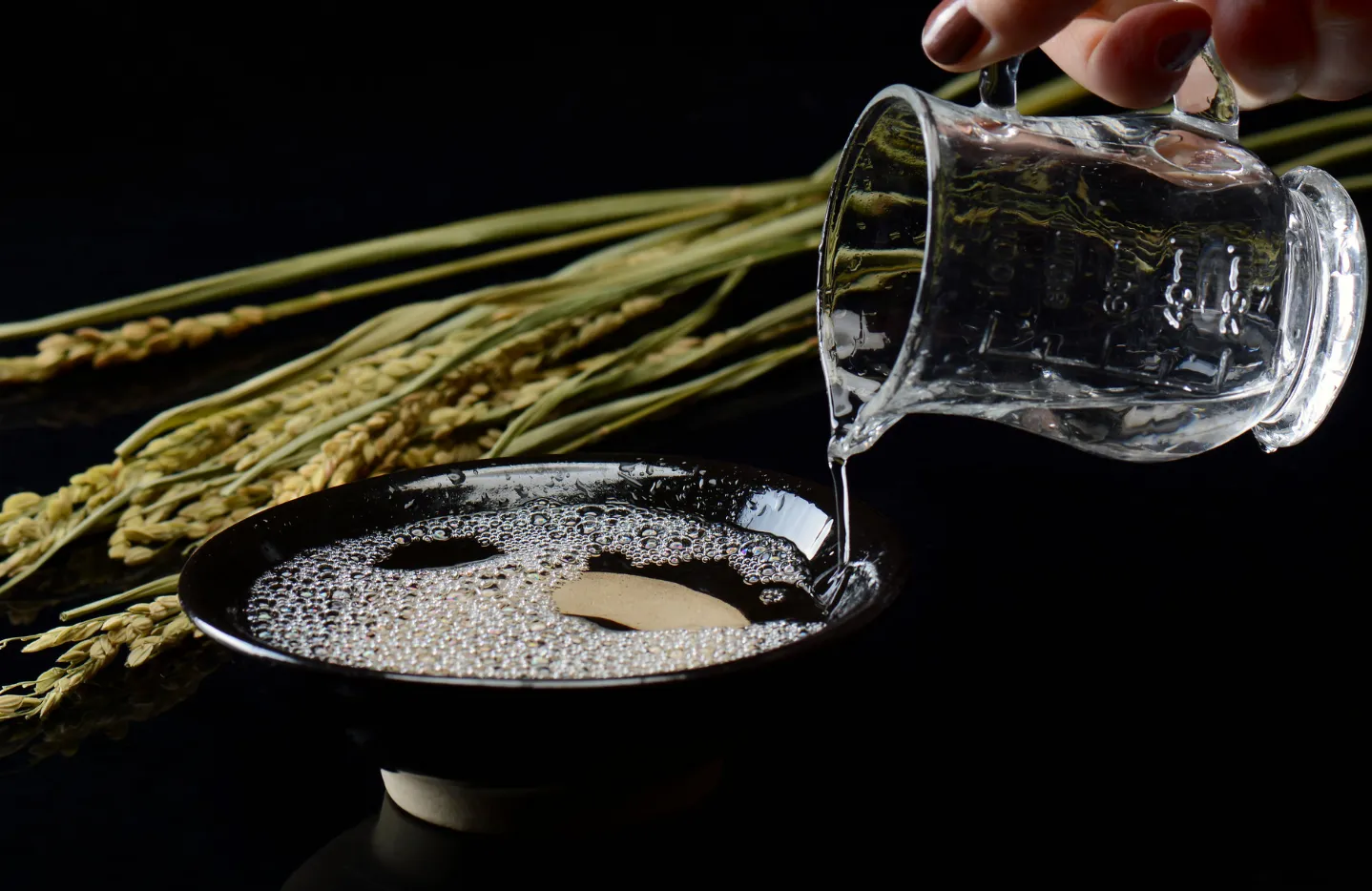 Coconut Shell Activated Carbon