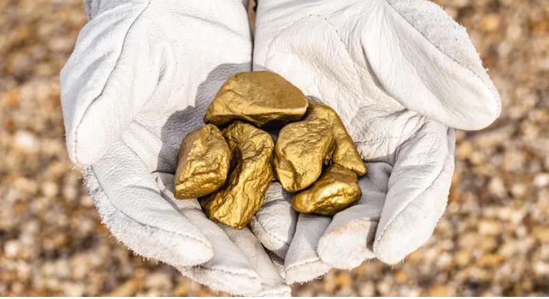 Activated carbon for gold extraction: an efficient metal recycling technology