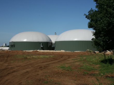 Activated Carbon vs Iron Oxide for H2S Removal in Biogas Systems
